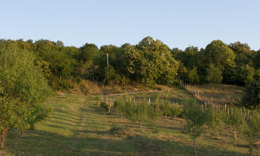 Édenkert Vendégházak Pécsvárad Exterior foto
